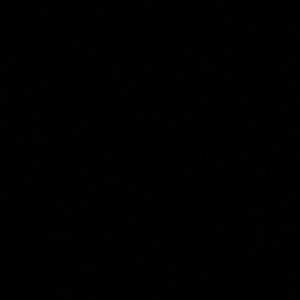 Meet your Posher, Celeste